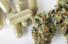 Australian Study Reports Efficacy of Cannabis for Pain Therapy