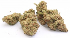 My Favorite Strains: Berry White