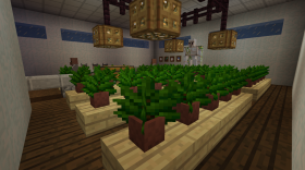 Cannabis in Minecraft: A Critical Review