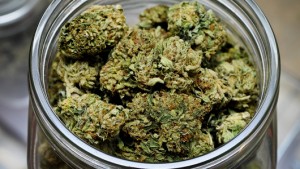For Great Cannabis, It's All in the Cure, Source: http://www.cvdvt.org/wp-content/uploads/2014/02/medjar.jpg