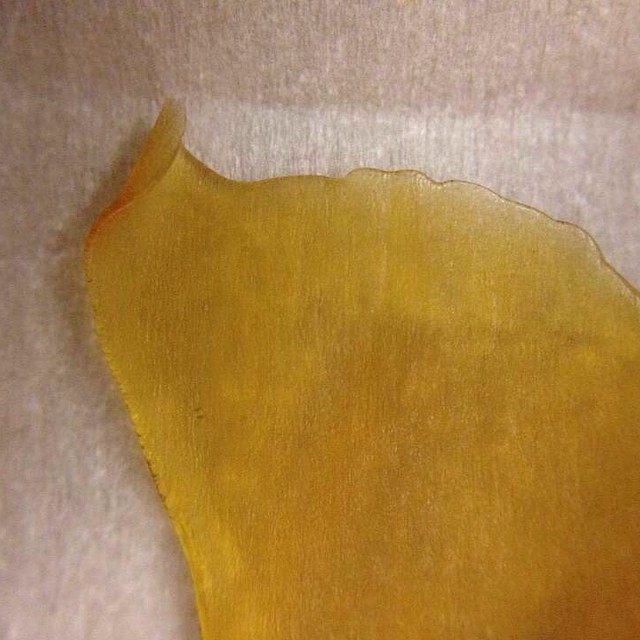 Instafire Corner Peel of Proper Purge Kosher Kush BHO @dabdudes805