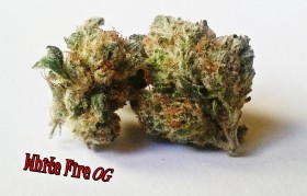 My Favorite Strains: White Fire OG