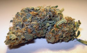 My Favorite Strains for an Active Lifestyle, Source: http://www.belowthelion.co.za/wp-content/uploads/trainwreck.jpg