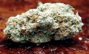 My Favorite Strains for an Active Lifestyle, Source: http://gram-of-weed.com/blog/wp-content/uploads/2014/10/Super-Silver-Haze-Nug.jpg