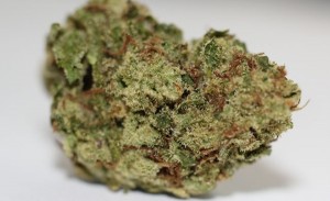 My Favorite Strains for an Active Lifestyle, Source: http://marijuanastrainsreview.com/wp-content/uploads/2013/12/AK-47-Strain2.jpg