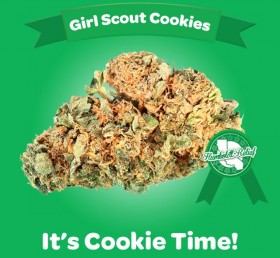 Girl Scouts of America Go After the ‘Girl Scout Cookies’ Strain for Infringement