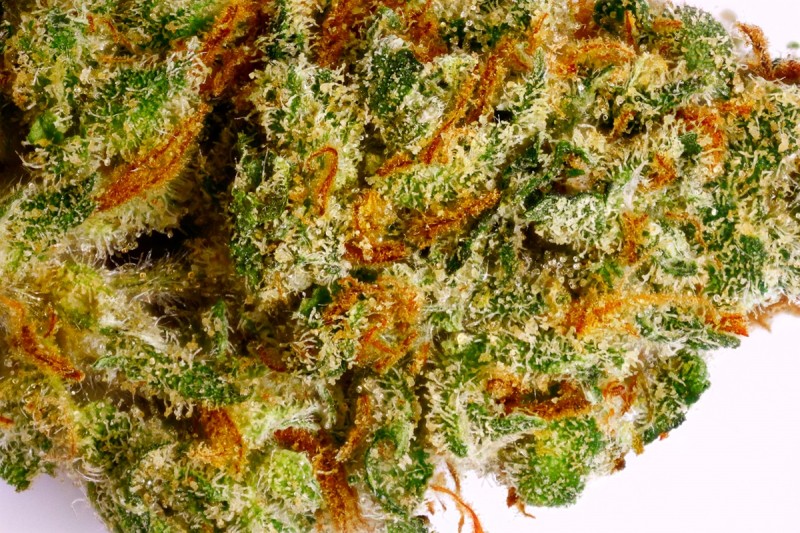 My Favorite Strains Jack Frost Weedist