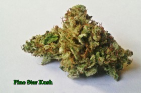 My Favorite Strains: Pine Star Kush