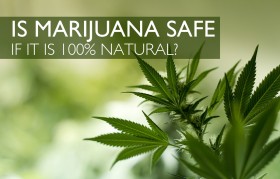 New Study Supports What We All Knew: Cannabis Is the Safest Drug
