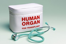 Cannabis and Organ Transplants: Who is Worthy?