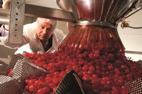 Dell’s Maraschino Cherries Owner Commits Suicide When Secret Grow Discovered
