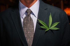 Medical Marijuana Bill Introduced in US Congress