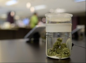 Medical Marijuana Sparks New Technology