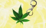 Preppy State Proposes Amnesty for Potheads