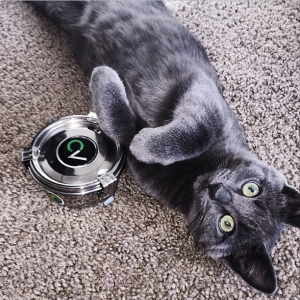 Product Review: CVault Storage and Curing Containers, Source: https://instagram.com/p/wfHucABO9K/?modal=true
