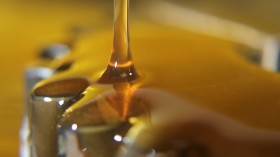 Florida’s Black Market Cannabis Oil Ruffles Pharmaceutical Doctor