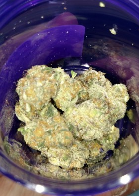 Instafire: Aurum Farms Girl Scout Cookies