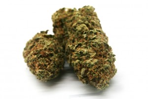 My Favorite Strains: EWOK, Source: https://d2kxqxnk1i5o9a.cloudfront.net/uploads/pictures/menu_items/664773/large_GREEN_SHIELD_EWOK_4_1024x1024.png