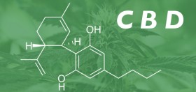 Cannabidiol Pushed as Cure for Cannabis “Addiction”