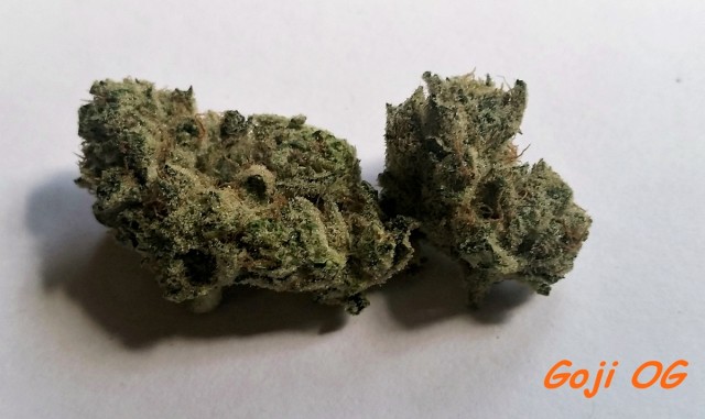 My Favorite Strains: Goji OG