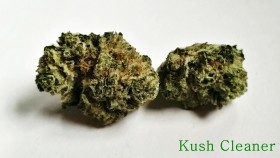 My Favorite Strains: Kush Cleaner