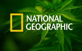 National Geographic Dedicates Cover to Cannabis