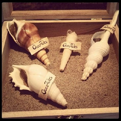 Piece of the Week | Authentic Seashell Pipes - Weedist