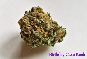 My Favorite Strains: Birthday Cake Kush