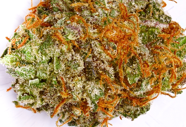 My Favorite Strains for Relieving Stress and Anxiety - Weedist