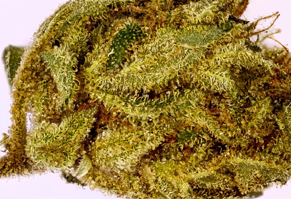My Favorite Strains for Relieving Stress and Anxiety - Weedist
